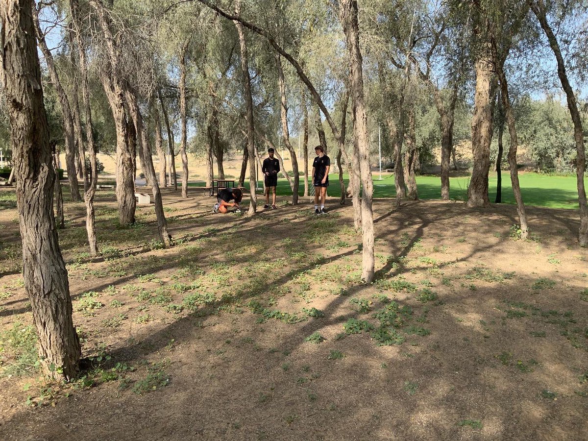 DESC Vocational (BTEC & RSL) tweet media