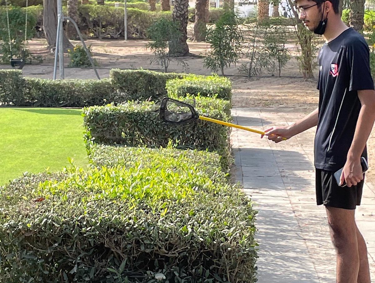 DESC Vocational (BTEC & RSL) tweet media