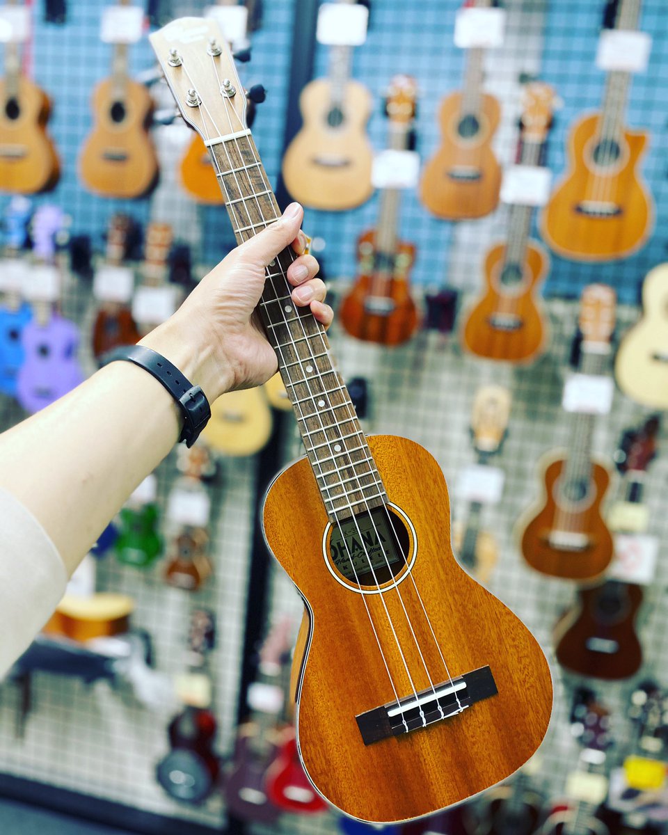 gakkicenter's tweet photo. #オハナウクレレ より、#テナースケール のコンサートサイズ・ウクレレ「CK-35L」が入荷!
スケールが長いので、通常のコンサートスケールよりもハイポジションが使いやすいです🤙
#ohana #ohanaukuleles #ukulele #ukuleles #アロハ #tenorscale #concertukulele #ウクレレ #コンサートウクレレ https://t.co/rFiIqQa97i