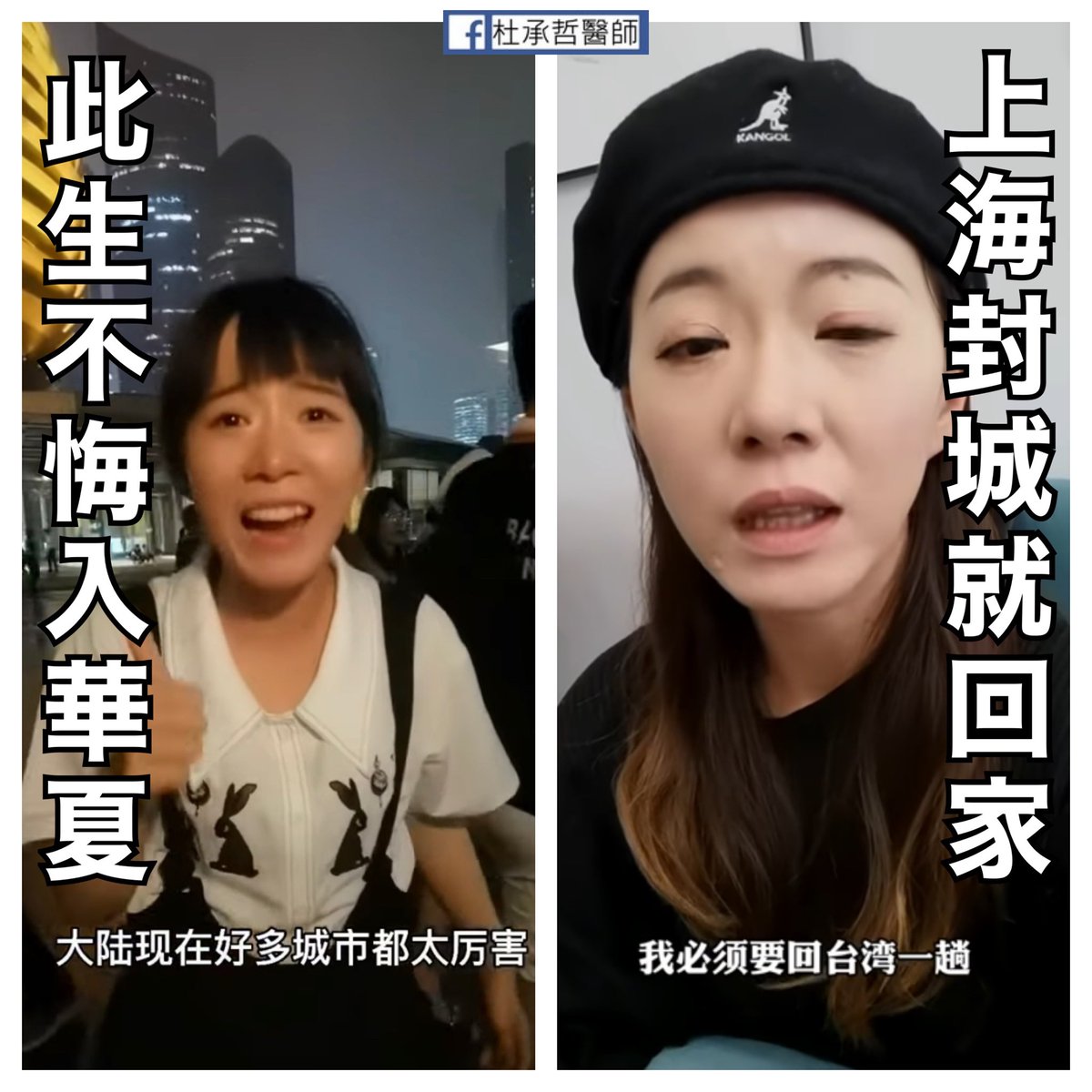 [圖]