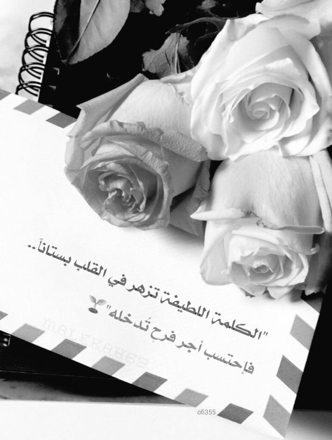 أكرم - ونسي tweet media