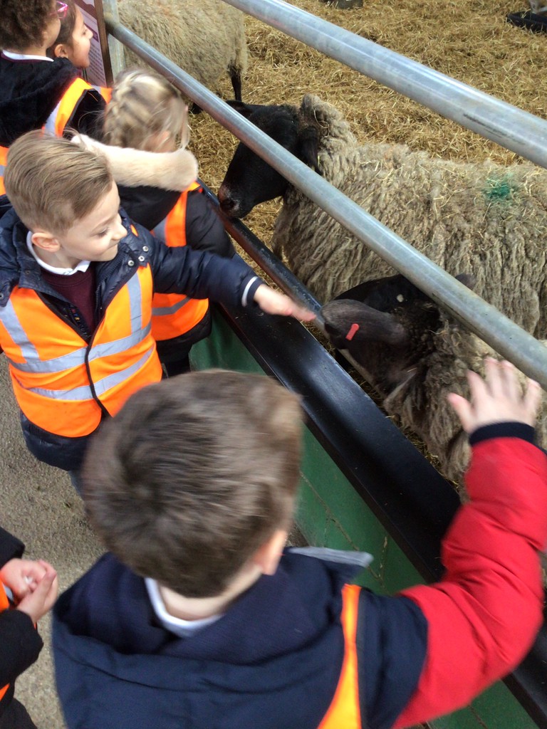 rec_hp's tweet photo. What a brilliant trip we had last week to #BockettsFarm the children are still talking about it now! https://t.co/V2KJOgimvt