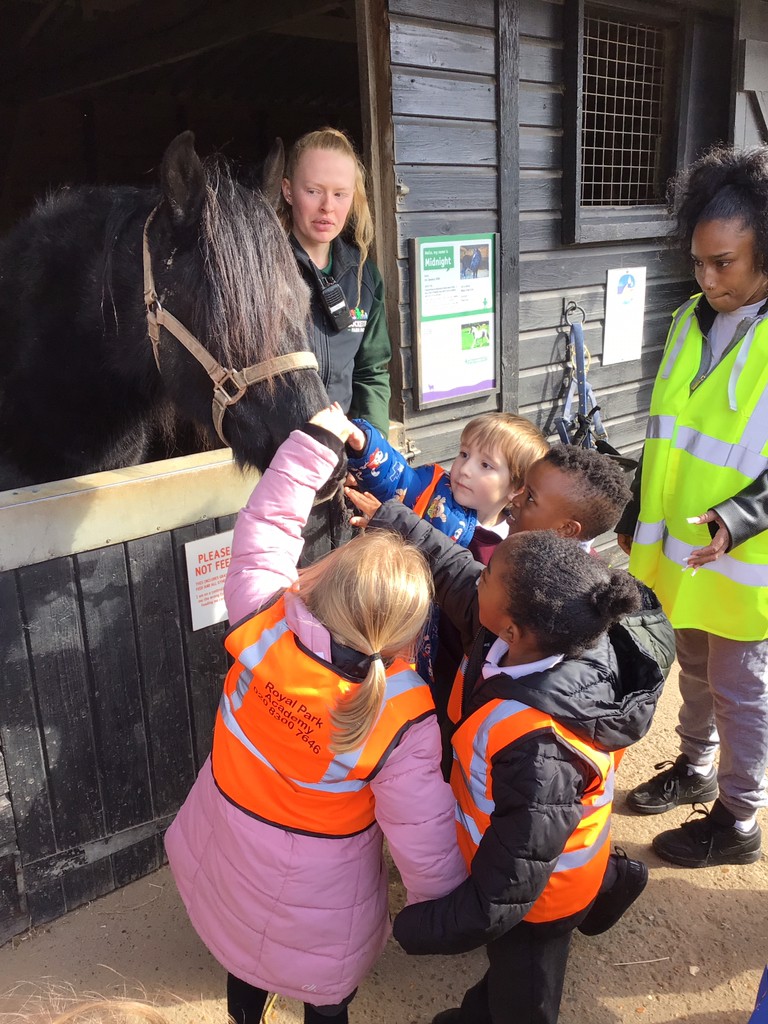 rec_hp's tweet photo. What a brilliant trip we had last week to #BockettsFarm the children are still talking about it now! https://t.co/V2KJOgimvt