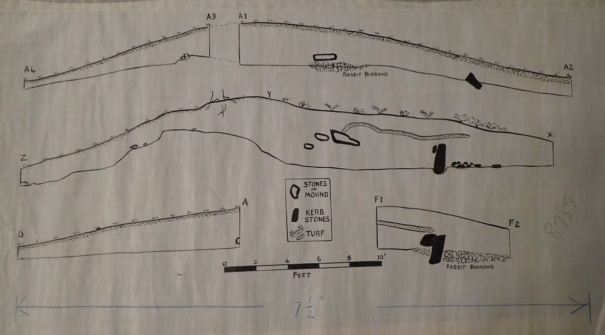 IOWarchaeology's tweet photo. Here are the section drawings which Jacquetta Hawkes made during her excavation of the Longstone which are now in the #IsleofWight #HistoricEnvironmentRecord archive. https://t.co/ngNq0Uh7S6