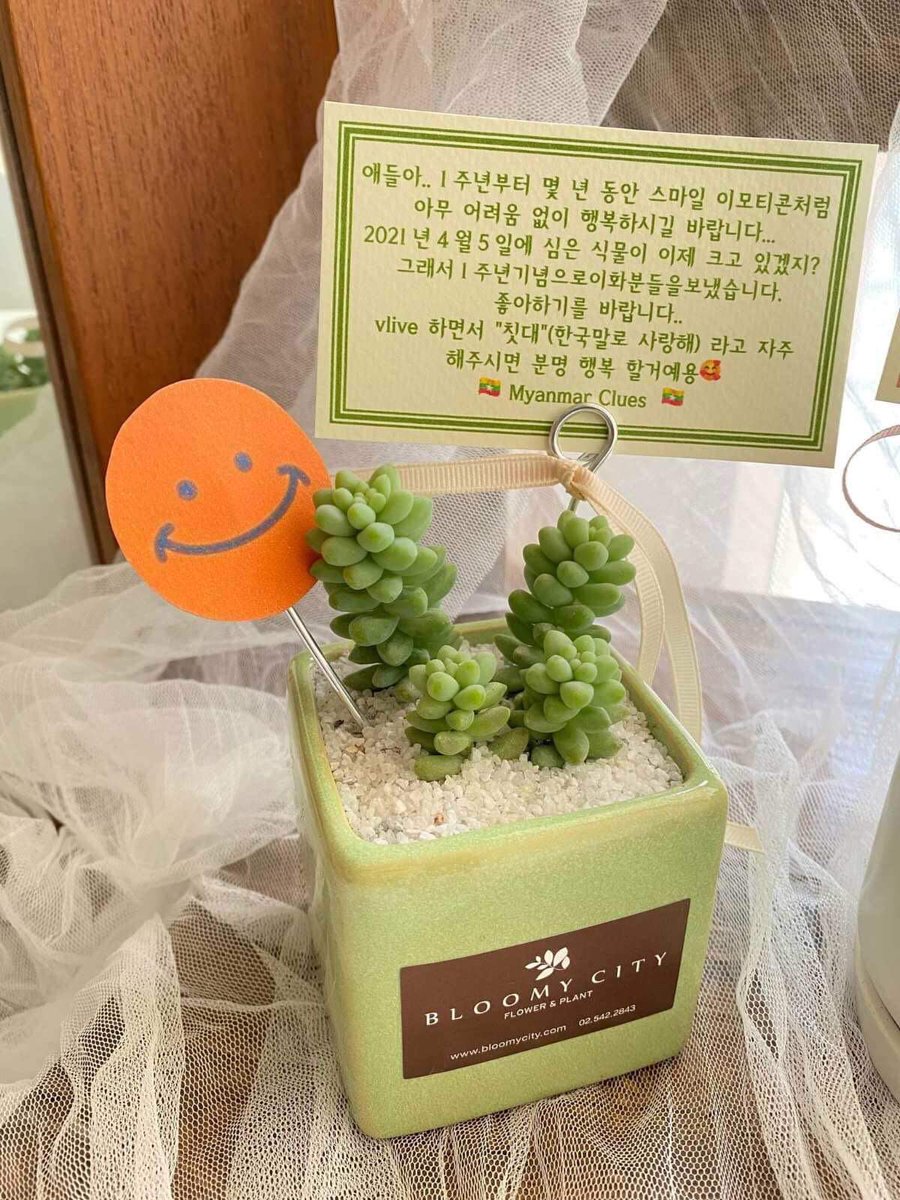 Vein26200872's tweet photo. We(Myanmar Clues) sent this little plants to Ciipher๐ฟ
Hope they like them๐ค
HAPPY CPR DAY
#CrackTheCode_1YearWithCPR
#์ด๋์_๋ง์ด_์ปค๋ฒ๋ฆฐ_์ธ์ดํผ
@RAIN_Ciipher https://t.co/o0UakEbBZZ