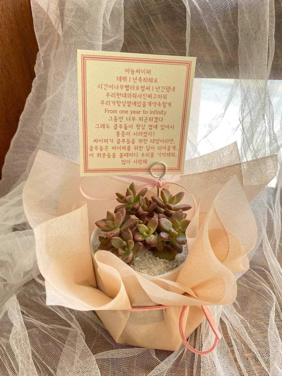 Vein26200872's tweet photo. We(Myanmar Clues) sent this little plants to Ciipher๐ฟ
Hope they like them๐ค
HAPPY CPR DAY
#CrackTheCode_1YearWithCPR
#์ด๋์_๋ง์ด_์ปค๋ฒ๋ฆฐ_์ธ์ดํผ
@RAIN_Ciipher https://t.co/o0UakEbBZZ