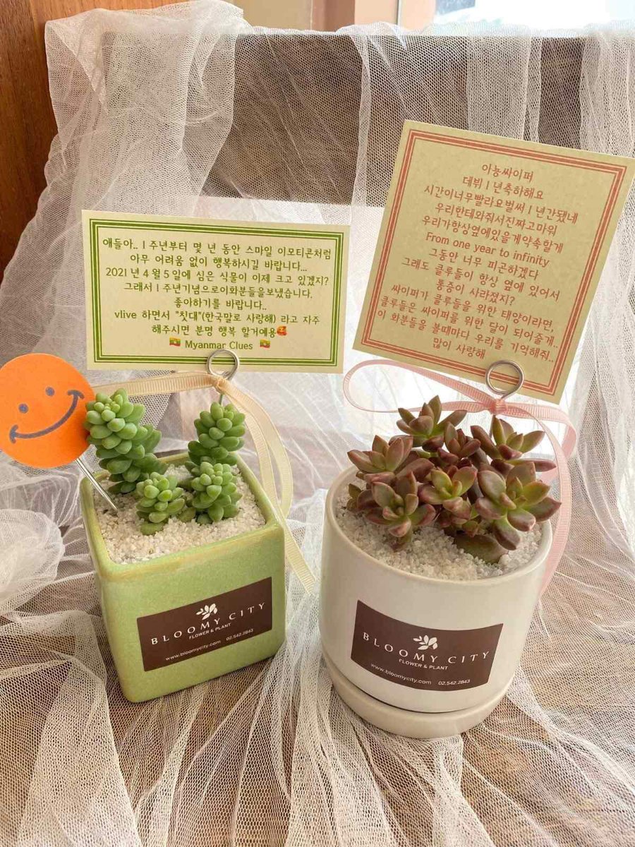 Vein26200872's tweet photo. We(Myanmar Clues) sent this little plants to Ciipher๐ฟ
Hope they like them๐ค
HAPPY CPR DAY
#CrackTheCode_1YearWithCPR
#์ด๋์_๋ง์ด_์ปค๋ฒ๋ฆฐ_์ธ์ดํผ
@RAIN_Ciipher https://t.co/o0UakEbBZZ