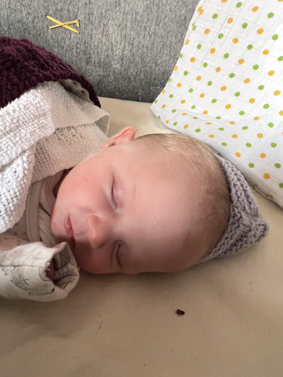 I would like to present our little bean, Frida Wednesday Greenwood-Studt. She was born on the 1/3/22 at 4am via emergency c-section and our minds and bodies have never been the same again. She is amazing. #ourbaby #amystudt <a href="/AmyJaneStudt/">Amy Studt Official</a> @ghostculture