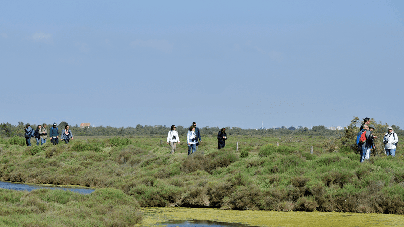 nicerendezvous's tweet photo. 🔵 #RégionPACA : "Qui dit printemps dit retour des beaux jours et des promenades à redécouvrir les paysages qui nous entourent. Grâce au Festival de la Camargue et du Delta du Rhône, sorties nature.." via @F3cotedazur 

↪️ https://t.co/yj7nsqgNwS #PACA #Camargue #Nice06 #NRDV JB https://t.co/tcCrwuopKJ