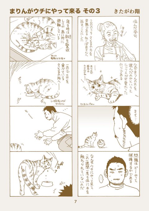 れいとしょう展 大阪Gallery La Campanella 11月1日（土）〜11月8日