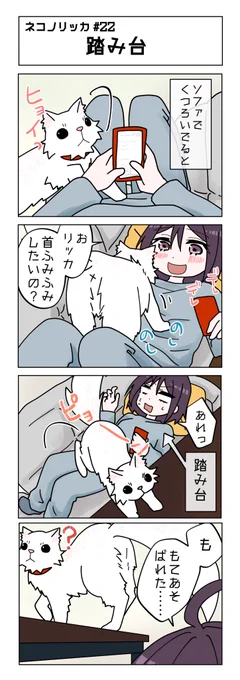 第22話!

そんなつもりじゃなかったんだってさ!

#ネコノリッカ #猫リッカ #サイベリアン #四コマ漫画 #猫漫画 #猫の居る暮らし #猫好きさんと繫がりたい #猫 