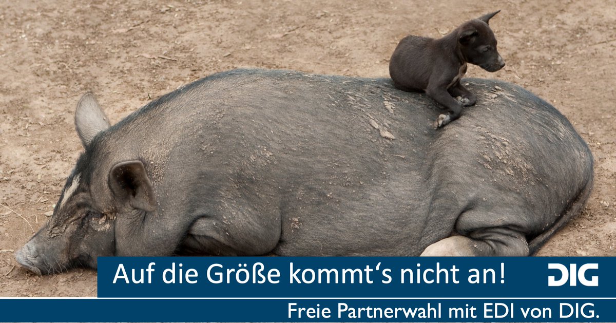 Glückliche Partnerschaften brauchen EDI-Lösungen, die auch funktionieren! Mehr dazu am ePROCUREday. Kostenlose Teilnahme sichern! → bit.ly/3MQc7w6