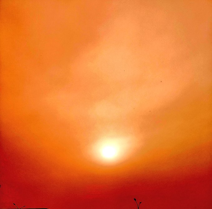 Antonio Punto Final tweet media