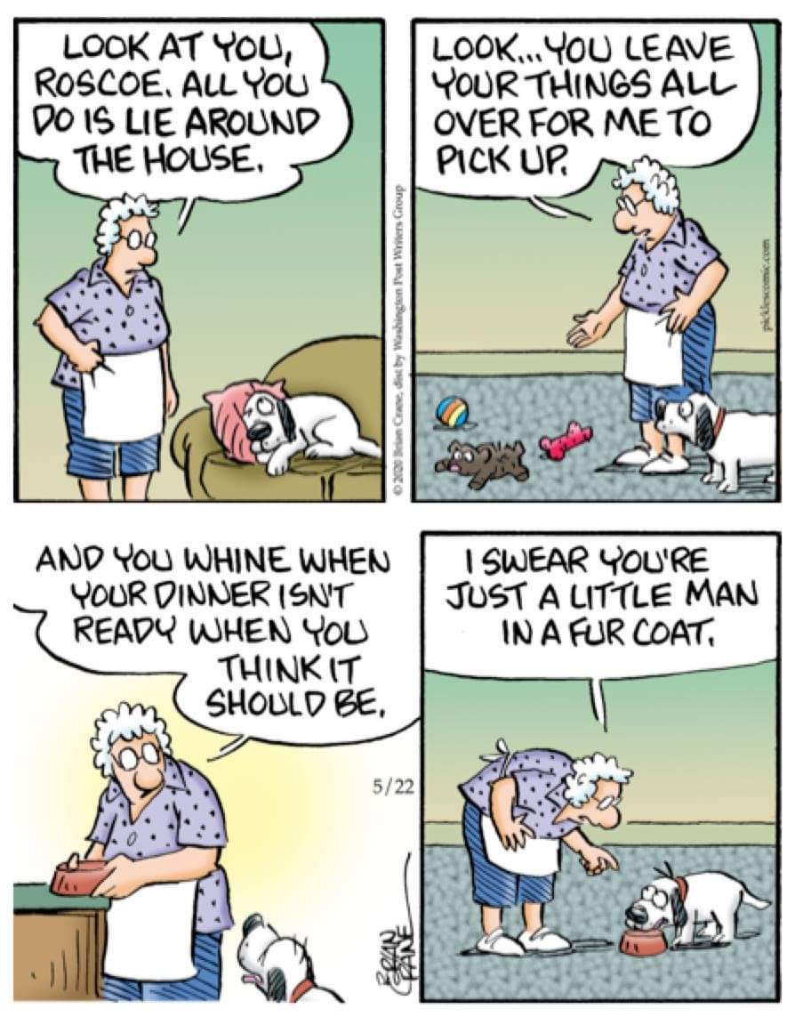 IStaffies's tweet photo. 🤣 🤣 🤣 #dogs #DogLife #lovedogs https://t.co/FkeH1zSehE