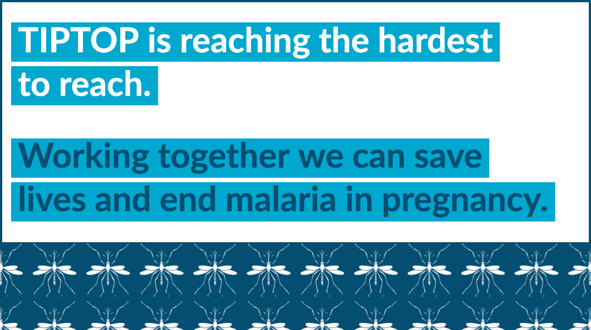 MedsforMalaria's tweet photo. It's not too late to sign up for TIPTOP's 3-day meeting on expanding C-IPTp to protect more pregnant women from malaria, starting today at 14:00 CET. Day 1 focuses on access and data. Sign up here: https://t.co/tanzc4KlVI #TIPTOPmalaria https://t.co/RiEvrdS4Jt