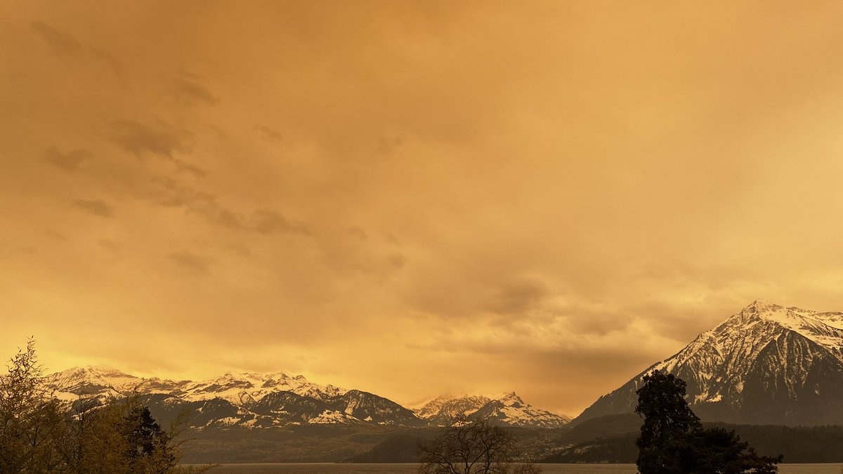 Ich auch noch 🤷🏻‍♂️ #nofilter