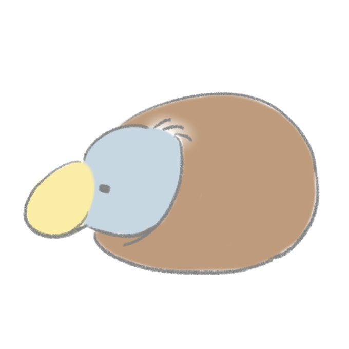ハシビロコウのtwitterイラスト検索結果
