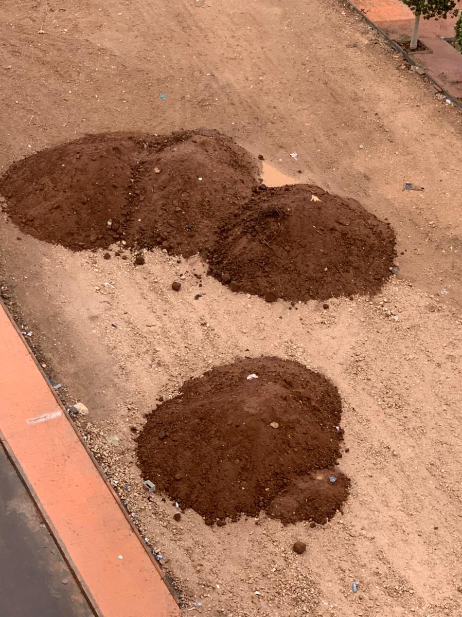 Gardens are integral in any city, in Agadir, Morocco a brand new park is being created.  Investment in the environment is greatly needed 
in London would this happen.