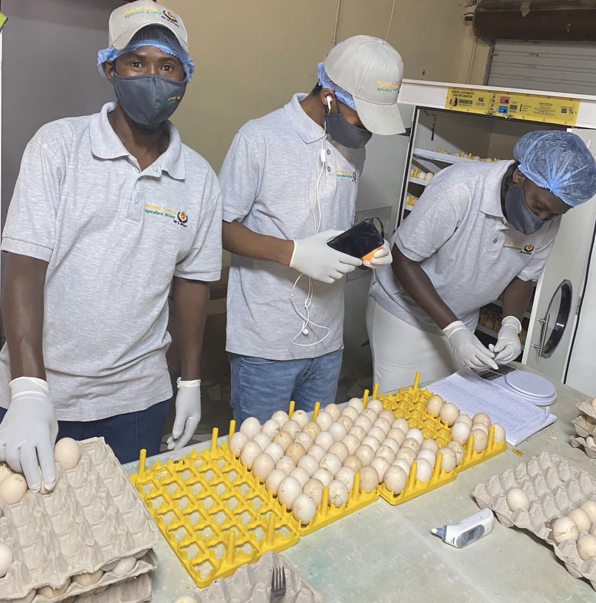 #TechTuesday : Egg Hatcher
The SH2000H Hatcher is the largest single hatcher. The hatcher is required when transferring the eggs from the setter on day 18. Eggs remain in the hatcher until day 21 when the chicks hatch. <a href="/pholopheto/">Pholopheto Enterprise</a> WIBC Beneficiary used SH2KH for Egg hatchery