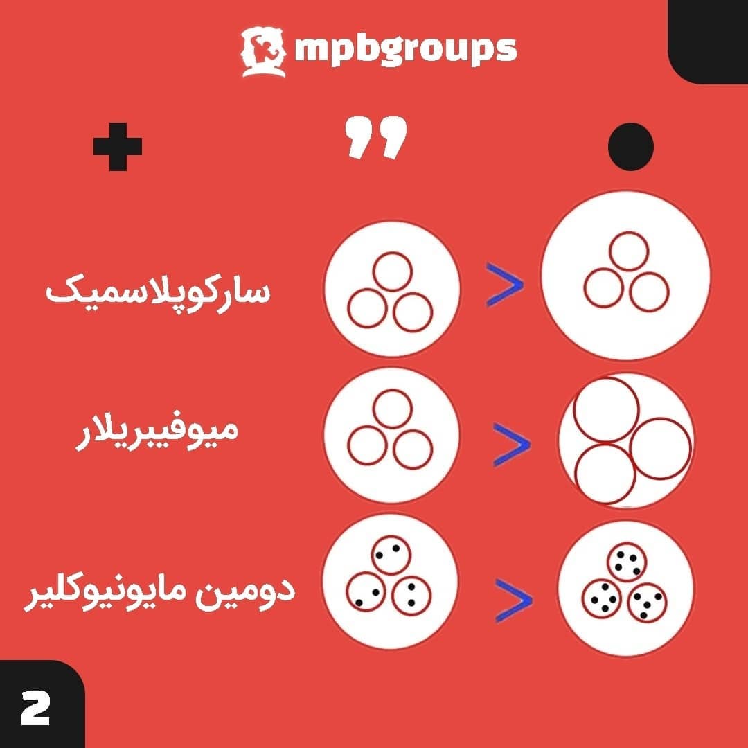 mpbgroups's tweet photo. 💥برای رسیدن به حداکثر هایپروفی و افزایش حجم عضلات باید از نوع هایپرتروفی بهره ببرید در غیر این صورت یا باید ژنتیک خاصی داشته باشید یا صبر ایوب و چنانچه این دورا نداشته باشید باید پا در مسیر نادرست بگذارید که متاسفانه در دنیای بدنسازی اتفاق افتاده.
1/4 https://t.co/cbwjHpjVu6