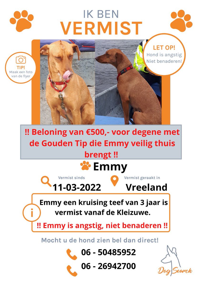 Dogsearch Nederland tweet media