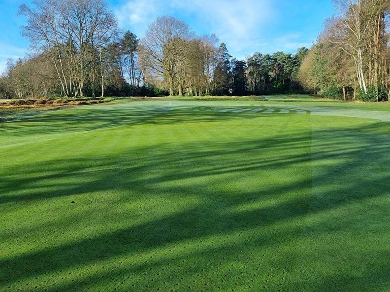 Getting them 🕳🕳🕳🕳 in <a href="/GolfShgc/">Sunningdale Heath</a>