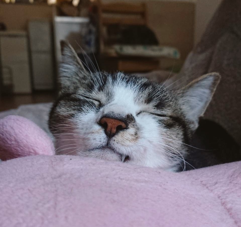 別れたくない Twitter Search Twitter