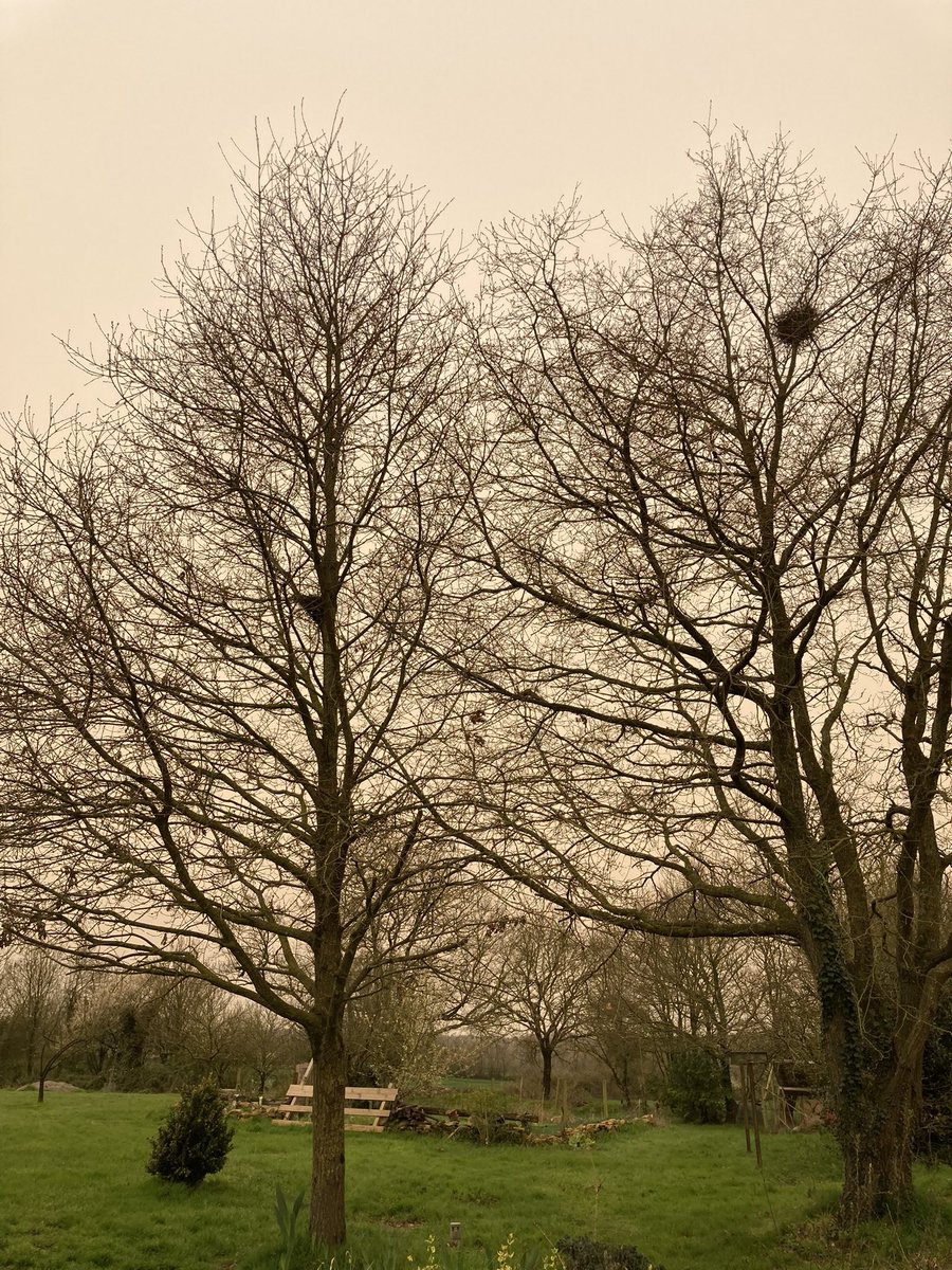 Sympa le ciel jaune ce matin pour parfaire le côté « Fin du monde » qu’on se traîne ces derniers temps !
#Sirocco