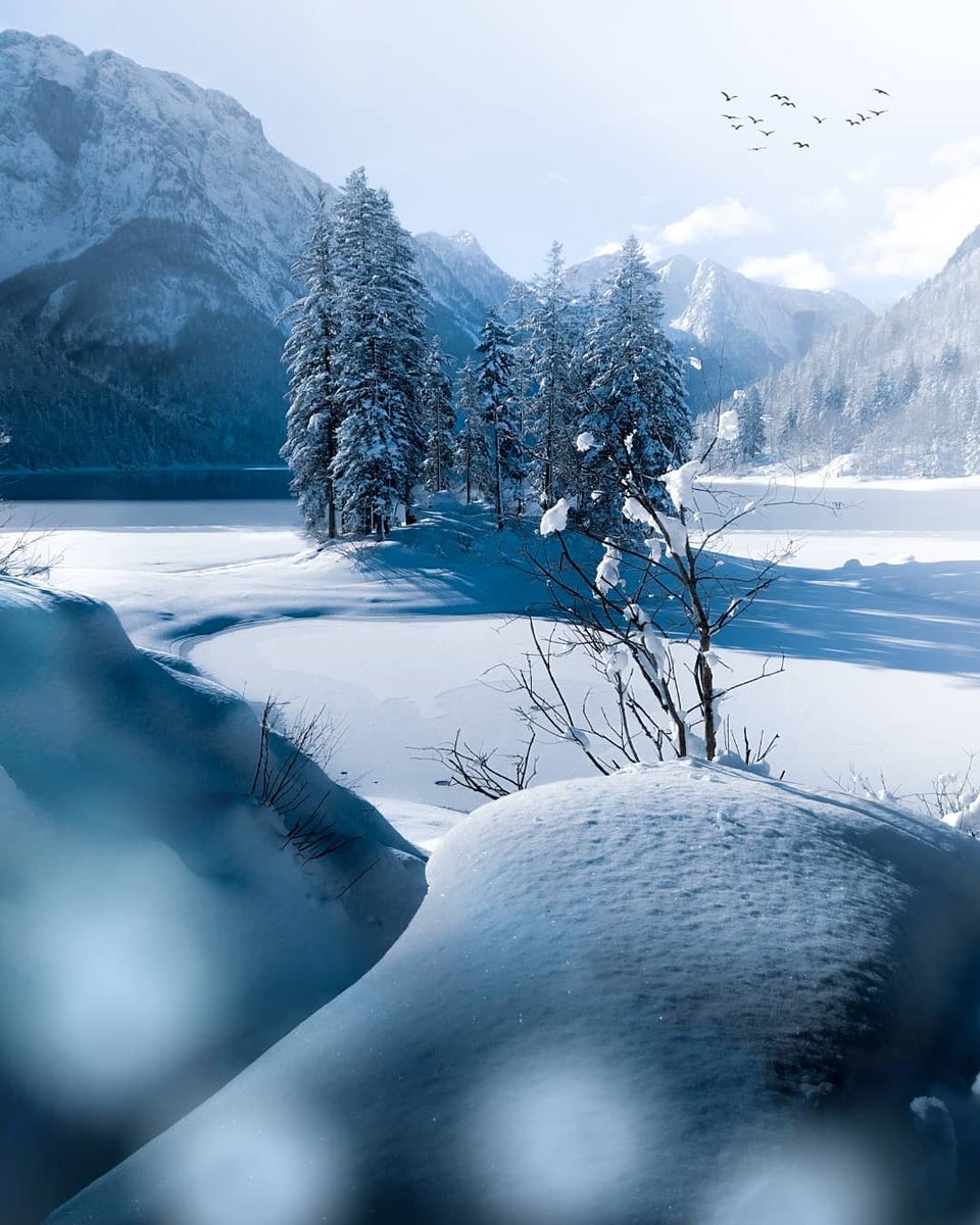 VisitFVG's tweet photo. 4 curiosità 🧐 relative al Lago del #Predil:

- in regione è il 2° per estensione
- prende origine dallo scioglimento di antichi ghiacciai
- all’orizzonte spicca la sagoma delle "Cinque Punte"
- l'isoletta è un relitto di un arco morenico

📸: chiaragiuliotto

#FVGlive #iosonofvg https://t.co/aFc7r72mnf