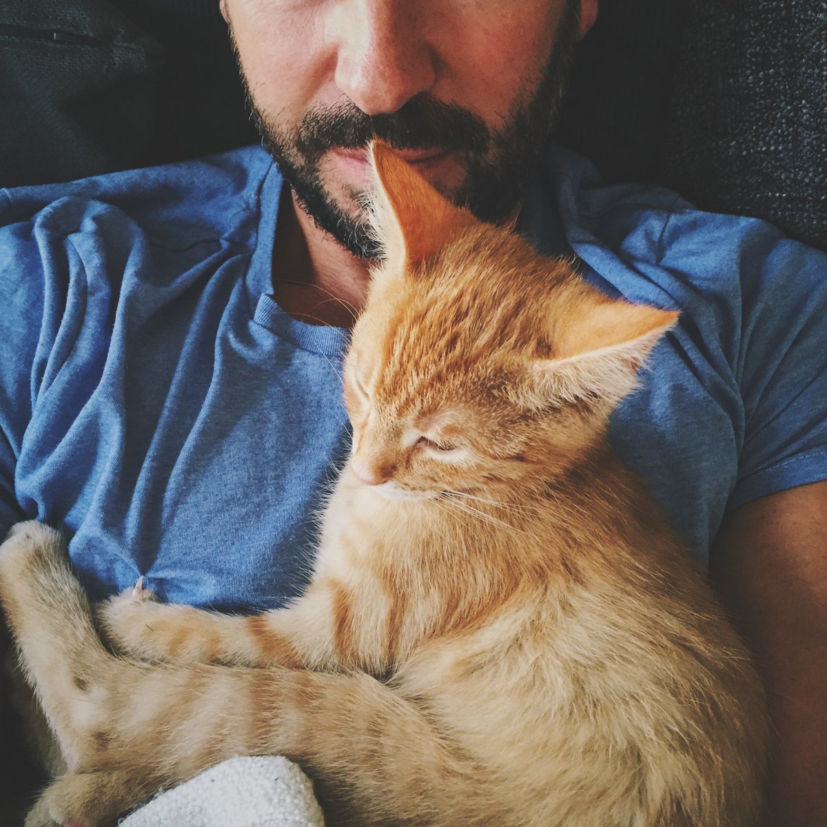 Arek Kajda tweet media