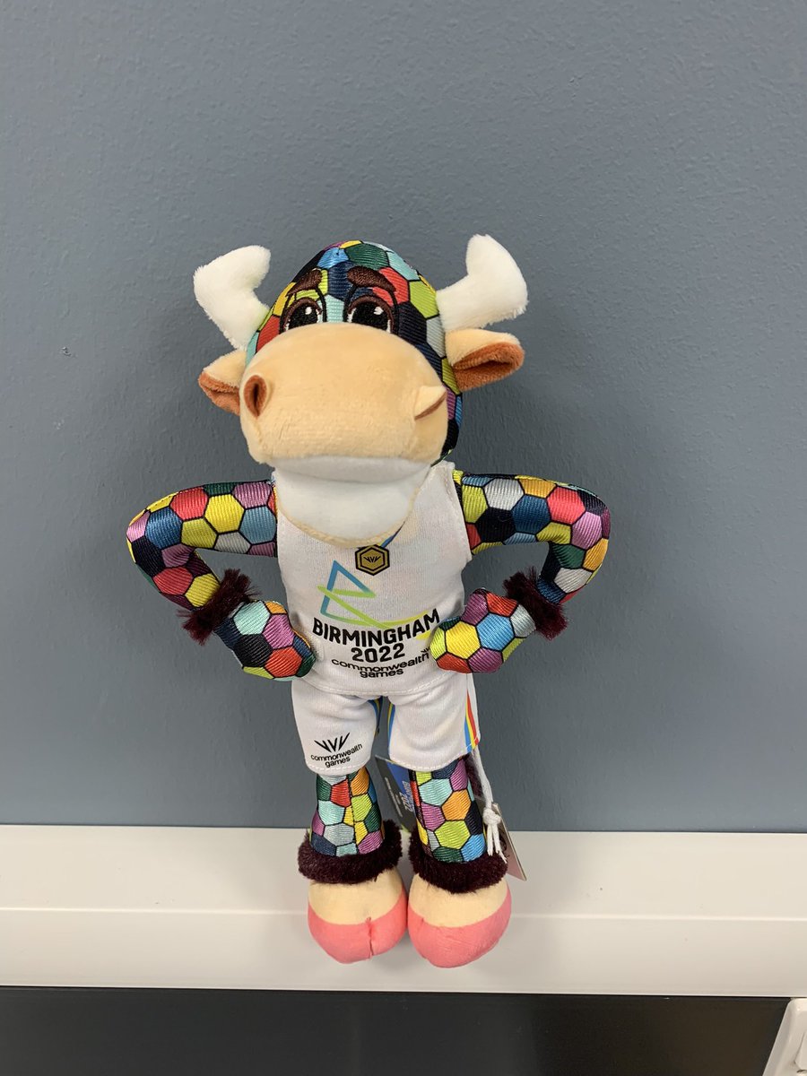 tamesidessp's tweet photo. Have you got your #Perry yet? There are lots of Perrys in Tameside waiting to be taken to events with your pupils. Get yours now #commonwealthgames #mascot #diary #whereisperry https://t.co/88wn56RN3y