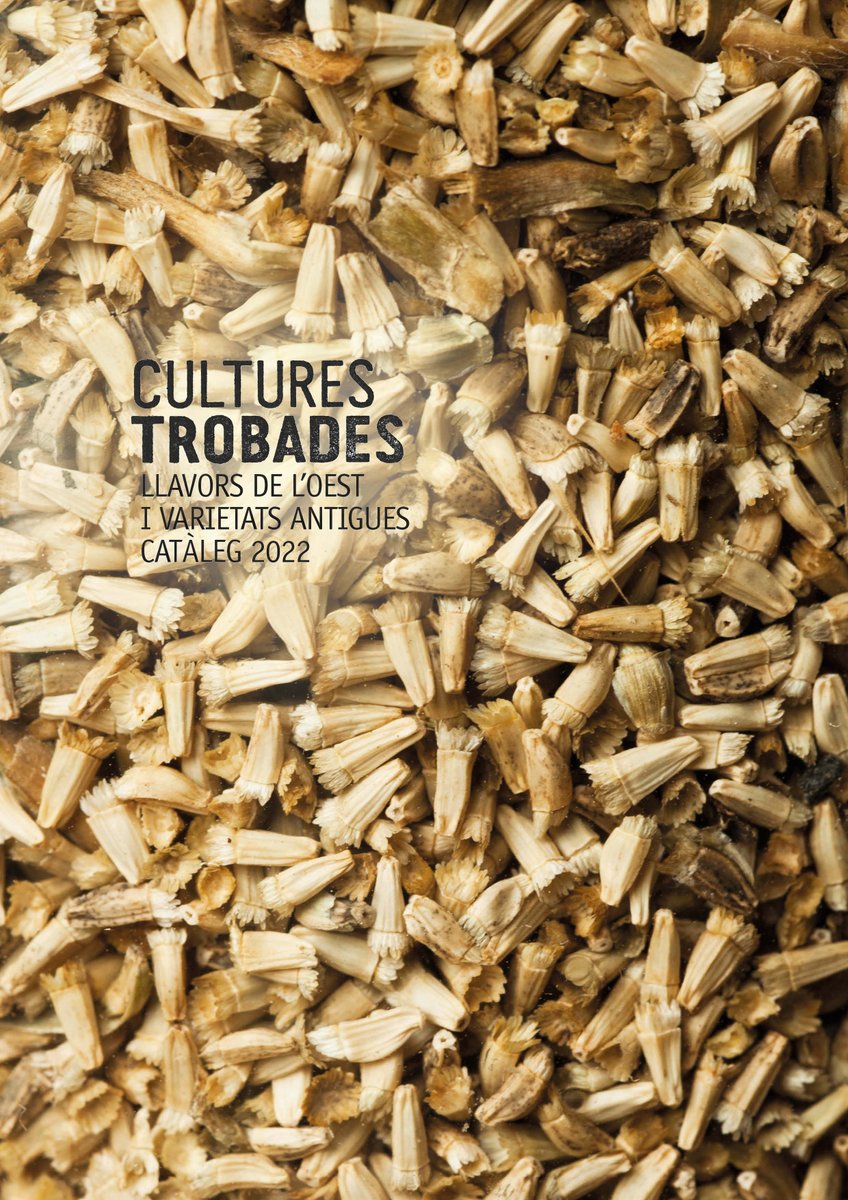 CULTURES TROBADES tweet media