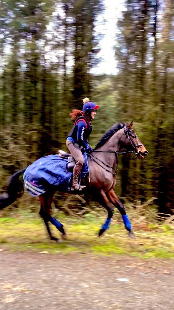 RealShanCothi's tweet photo. Right catch you later! Diva Dolly #GalrosLady wants to get to @cheltenhamfest in time for first race! 🤣👍⭐️ #ror #retrainingofracehorses #loveror @TVaughanRacing #divadolly #cothi Diolch Janet Davies am sgwrs wych ddoe ar @BBCRadioCymru #borecothi https://t.co/9wsf9fa1Be