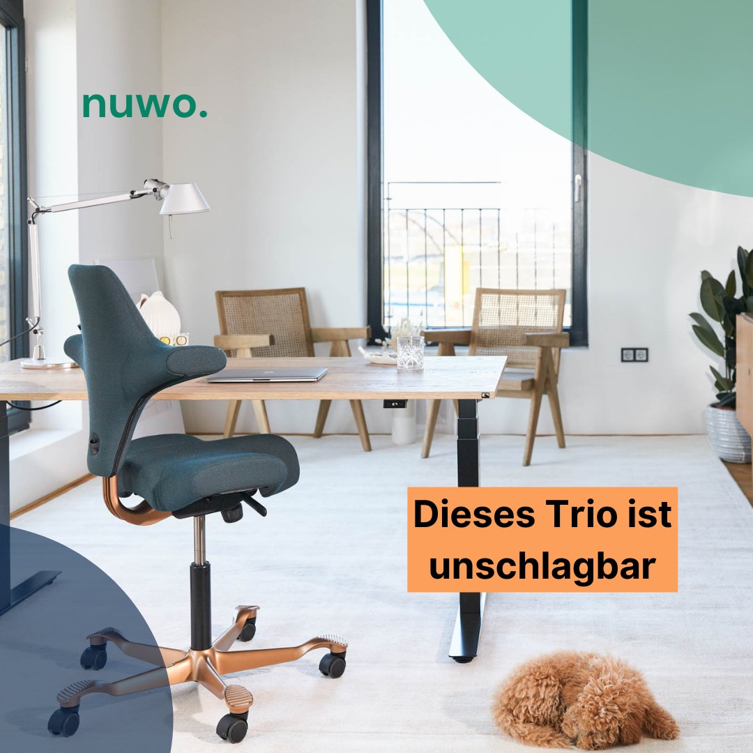 „Dein #Homeoffice muss ergonomisch eingerichtet sein“, betonen wir bei nuwo. immer wieder. 👩🏼‍💻🧑🏻‍💻 
Aber was steckt eigentlich hinter einer richtigen Ausstattung? 🧐 Dieses Trio ist UNVERZICHTBAR: nuwo.co/nuwo-academy/s…

#wellbeing #health