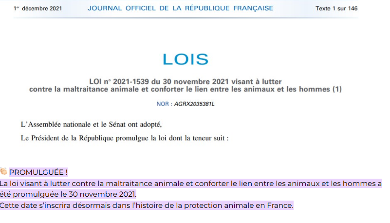 LeMouvRuralite's tweet photo. Le bilan de la #macronie sur les thématiques rurale, #chasse #peche #elevage
1. Interdiction des chasses traditionnelles
2. Proposition de résolution Dombreval sur la pêche au vif
3. Loi #Dombreval sur la condition animale portant atteinte à tous les éleveurs amateurs... https://t.co/baPIqUyVEo