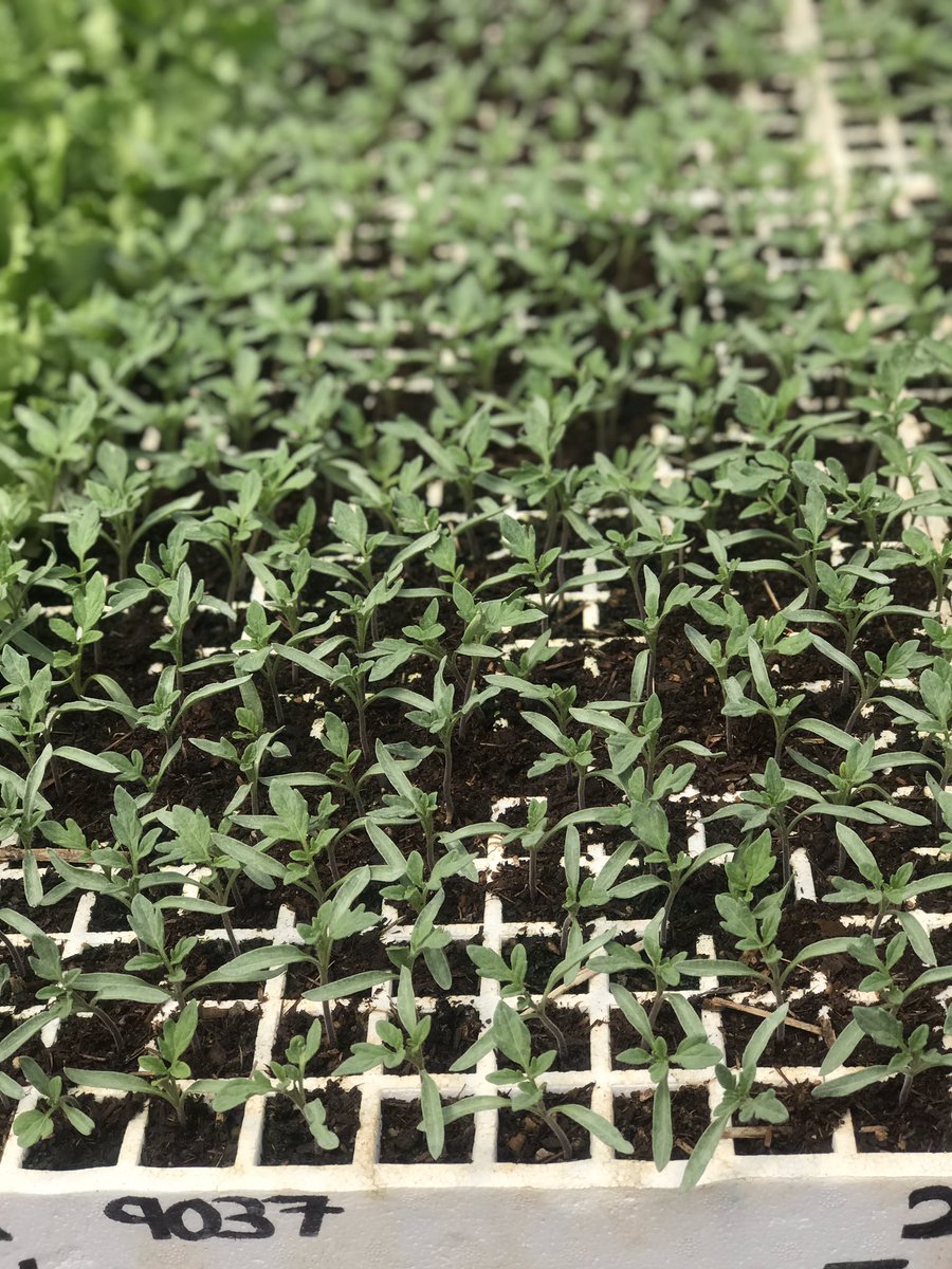 SpinyardS's tweet photo. What you see depends on how you view the world. To most people this is just dirt. To a farmer it’s potential. 👨🏽‍🌾. Come and book today. https://t.co/q7SMp8oJsw
