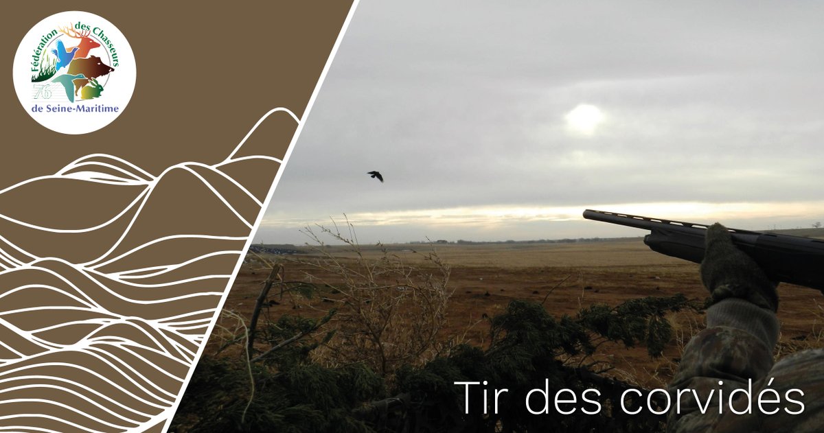 FedeChasseurs76's tweet photo. RAPPEL : Formation régulation à tir des corvidés à Belleville en Caux 💥

Retrouvez toutes les informations complémentaires sur notre site : https://t.co/GL7sbXwbP3

#fdc76 #corvides #regulationdescorvides #jemeforme https://t.co/itvsJi0wr2