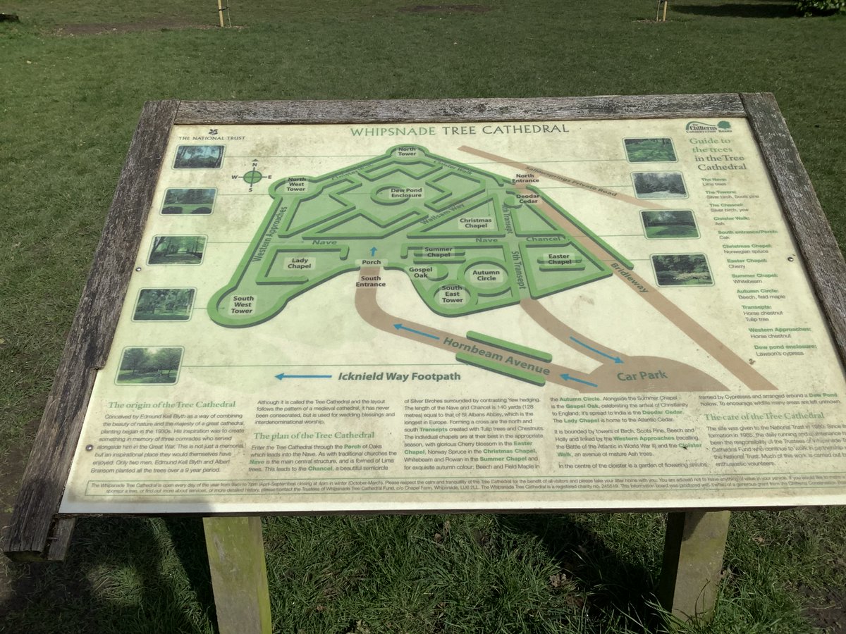 MacIntyreSchool's tweet photo. Kingfisher Class thoroughly enjoyed a walk through Whipsnade Tree Cathedral - such a beautiful place! #outdoorlearning #treecathedral #walking https://t.co/3QnS4svWeS