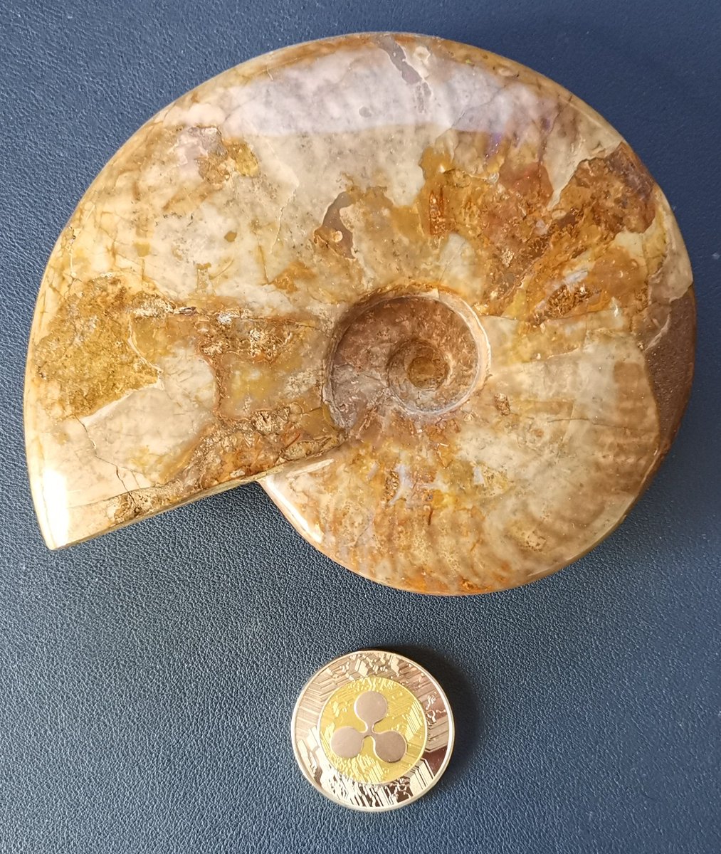 The past and the future #XRP #Ripple