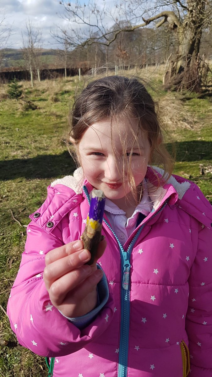 Boyle & Petyt tweet media