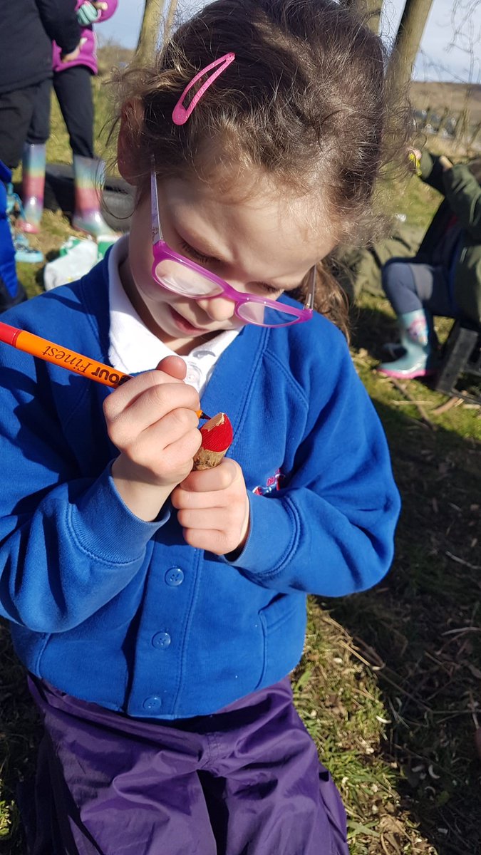 Boyle & Petyt tweet media