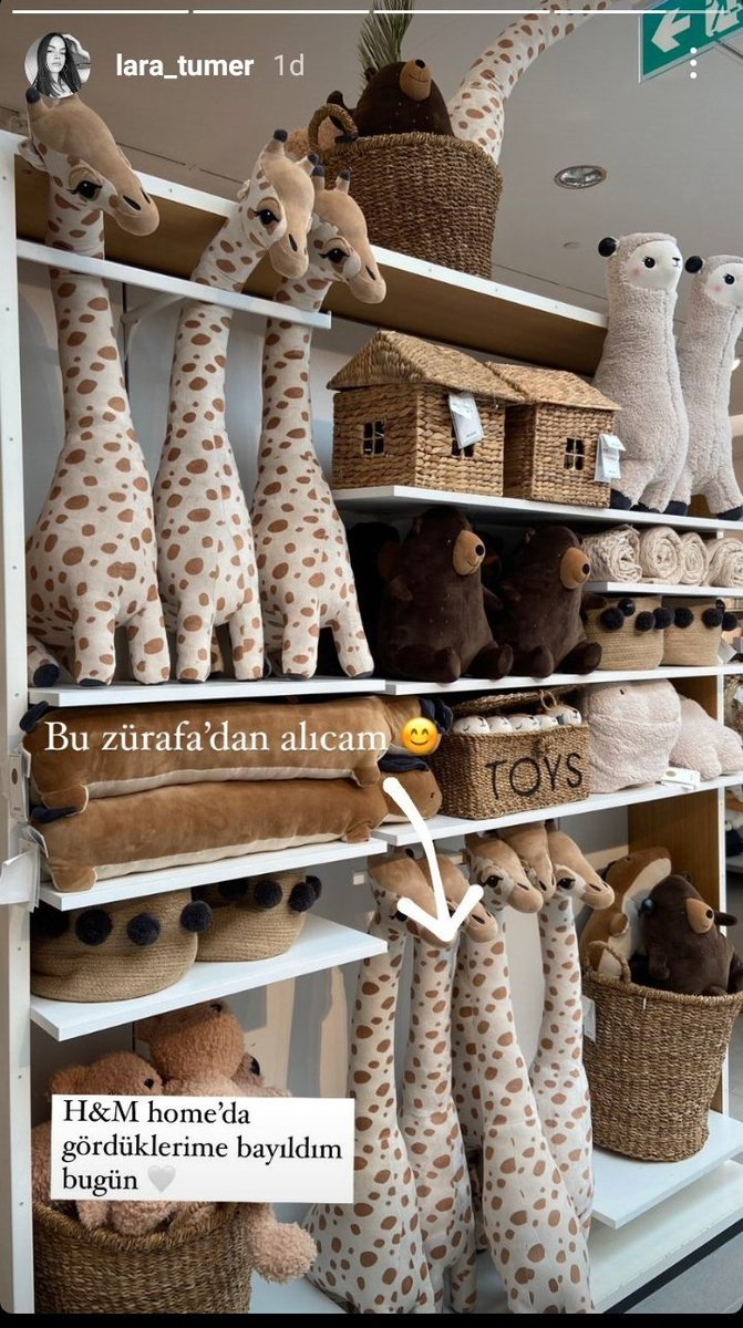 no context serbia team 🇷🇸 (@serbiaateam) on Twitter photo 