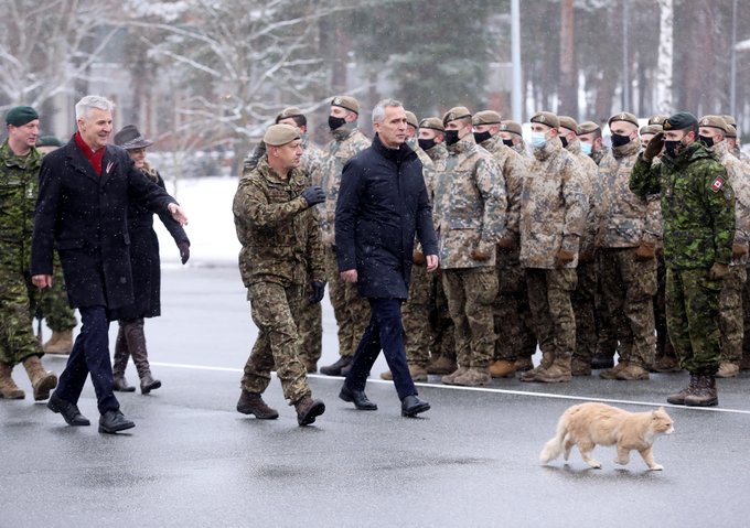 Zemessargam's tweet photo. Thanks for hospitality @Number10cat
We in @Latvijas_armija camp Adazi have our cat as well... Last year @NATO @jensstoltenberg was honourly escorted by our Latvian-Cat-In_Chief
@krisjaniskarins @BorisJohnson #MilitaryCat https://t.co/eGXK2clu7m