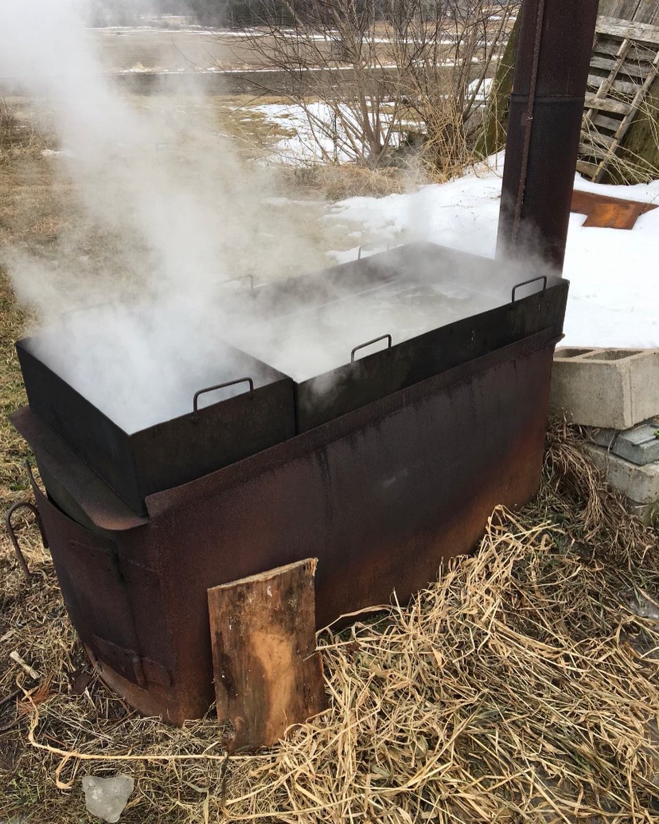 Ag Education Tuesday 🚜🌽
Sap becomes syrup (66-67% sugar content) at approximately 7¼oF above the boiling point of water (ex. if water boils at 212oF, proper density for syrup would be slightly over 219oF). Concentrations below 66% sugar content can sour over time.