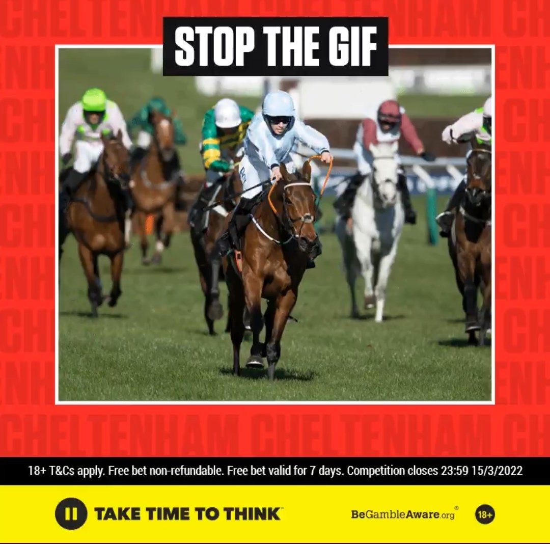 MrTimothyNoonan's tweet photo. @Ladbrokes https://t.co/bG9zpGlxLY