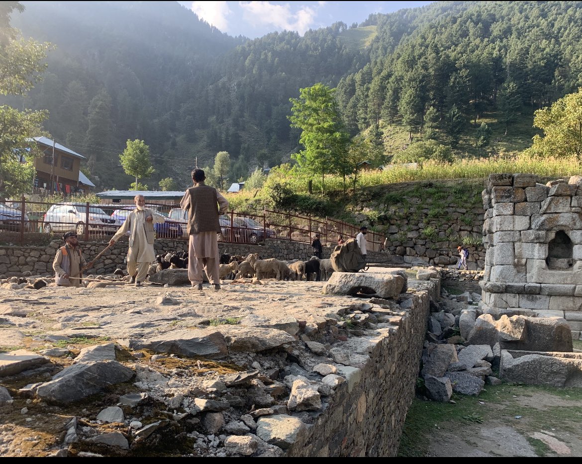 _hinduajay's tweet photo. @VertigoWarrior @desi_thug1 Another one  at Naranag, where the Apathy of the govt shows very clearly, rich expensive board about the history but neglected heritage, used by locals as a stockade for their sheep #storiesofkashmir #TheKashmirFiles https://t.co/g3vKKBp2pp