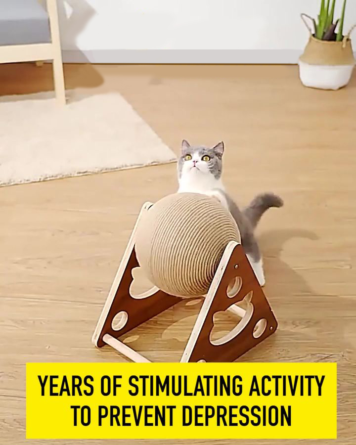 Zemte Incredible on Twitter "🐱🥳The 1 Best Selling Cat Toy to Ease Your Cat's Anxiety!🥳🐱 Pets