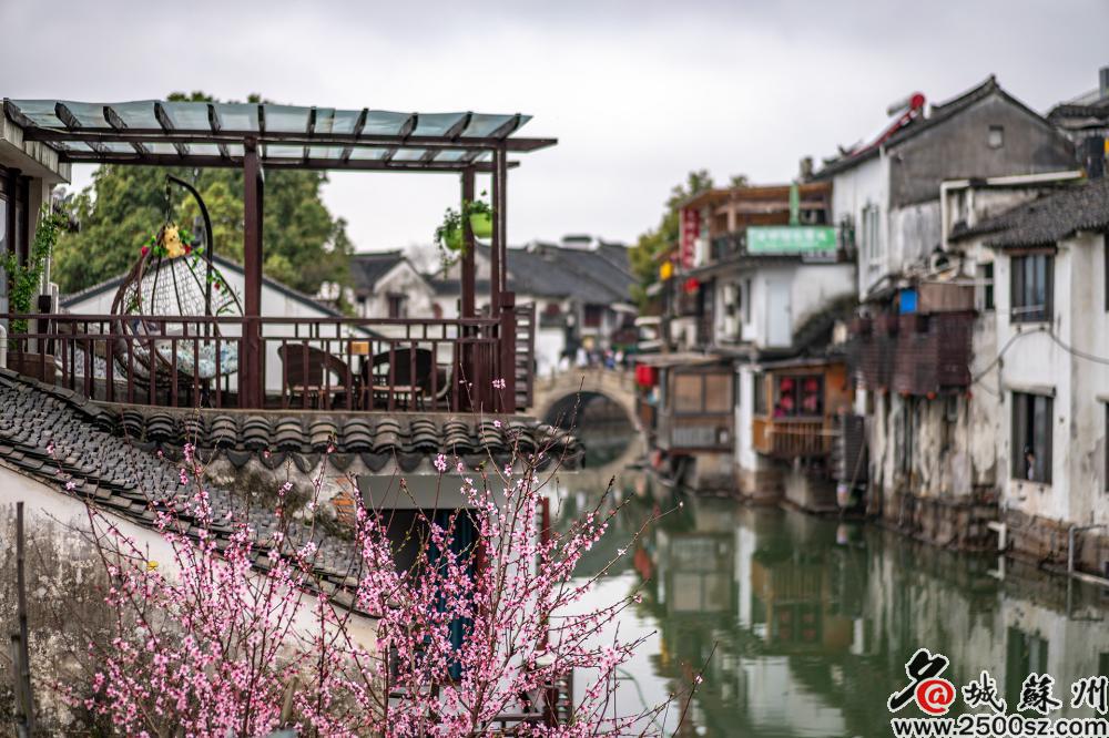ThisisSuzhou's tweet photo. Tongli Ancient Town in Wujiang district, #Suzhou, first built in the Song Dynasty (960-1279), bears the marks of time. The town is divided into seven small islands by 15 winding rivers, yet is connected by 49 bridges, making for a quant #spring view. #SpringInSuzhou https://t.co/Vv30whzuVt