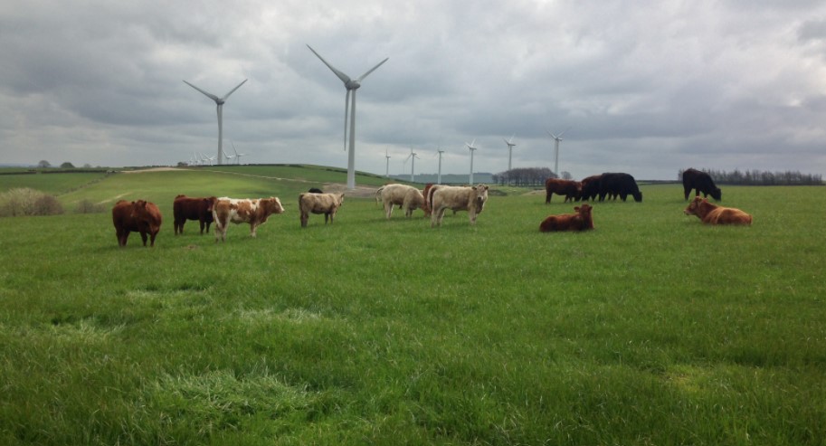 JGPears's tweet photo. Did you know that we own and operate a windfarm? Situated on our own farmland, our turbines generate electricity for the National Grid.
#renewableenergy #netzero #savingcarbon https://t.co/u5sEpGM7WO