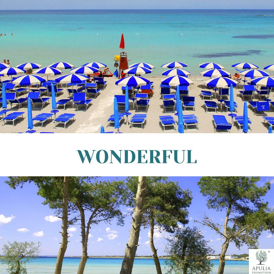 ApuliaPromotion's tweet image. #beachtourism

It may look like a pool but we assure you that our sea is really so beautiful
Book now your summer holidays🏝 
  apuliapromotion.com
#seatourism #mediterraneansea #puglia #weareinpuglia #seasandsun #vacationmood #seaside!